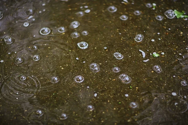 Chuva Poça Círculos Aqua Fundo Abstrato Textura Água Outono — Fotografia de Stock