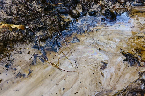 Нафтові Розливи Калюжі Абстрактна Концепція Забруднення Природи Бензином — стокове фото