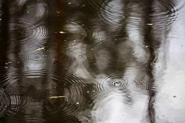Chuva Poça Círculos Aqua Fundo Abstrato Textura Água Outono — Fotografia de Stock