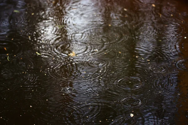 Kałuże Deszczowe Aqua Abstrakcyjne Tło Tekstura Jesień Woda — Zdjęcie stockowe