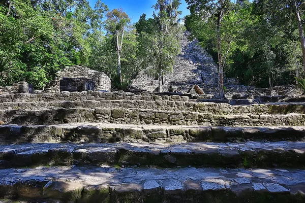 Meksika Piramitleri Maya antik şehri, Kolombiya öncesi manzara, Chicago Maya