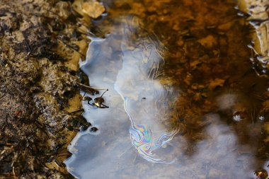 Su birikintisi arka planda petrol sızıntıları, soyut benzin kirliliği kavramı