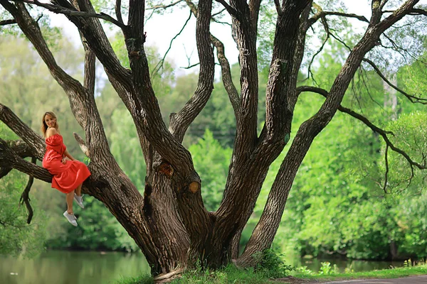 Bahar Zamanı Rüya Gören Kadın Ağaç Dalında Oturuyor Bahar Orman — Stok fotoğraf