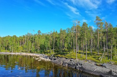 Orman gölü manzarası, manzara doğa manzarası ormanı, arka plan