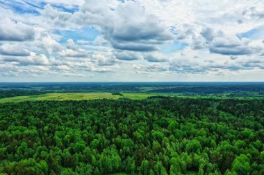 Yaz ormanı üstü insansız hava aracı, arka plan yeşil ağaçlar manzara manzarası