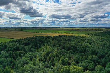 Yaz ormanı üstü insansız hava aracı, arka plan yeşil ağaçlar manzara manzarası