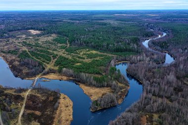 Drone Ormanı 'ndan nehir sonbahar manzarası, manzara manzarası...