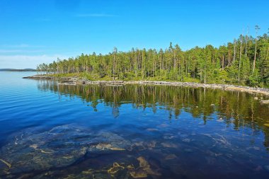 Orman gölü manzarası, manzara doğa manzarası ormanı, arka plan