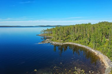 Yaz ormanı üstü insansız hava aracı, arka plan yeşil ağaçlar manzara manzarası