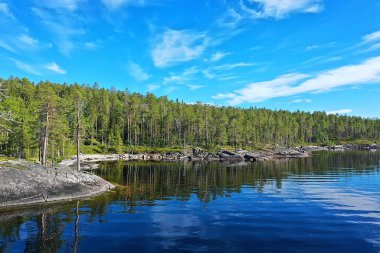 Orman gölü manzarası, manzara doğa manzarası ormanı, arka plan