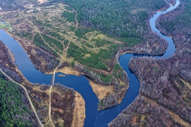 Drone Ormanı 'ndan nehir sonbahar manzarası, manzara manzarası...