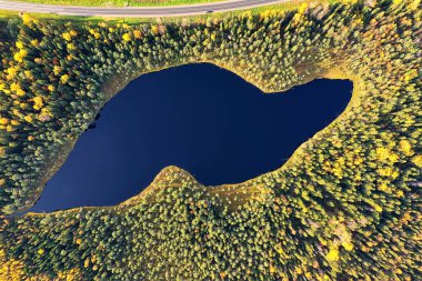 Orman gölü manzarası, manzara doğa manzarası ormanı, arka plan