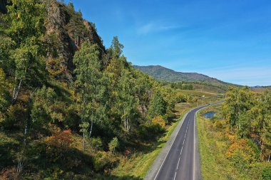 Yaz ormanı üstü insansız hava aracı, arka plan yeşil ağaçlar manzara manzarası