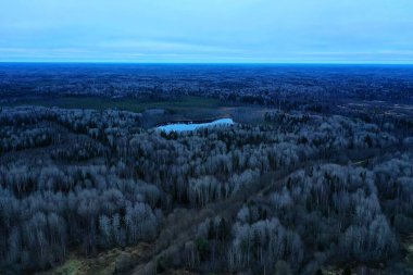 Yapraksız sonbahar ormanı insansız hava aracı manzaralı, doğa manzaralı.
