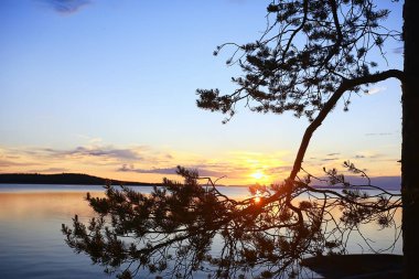 Finlandiya Göl Manzarası, Yaz Su Yansıması İskandinavya