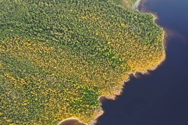 Orman gölü manzarası, manzara doğa manzarası ormanı, arka plan