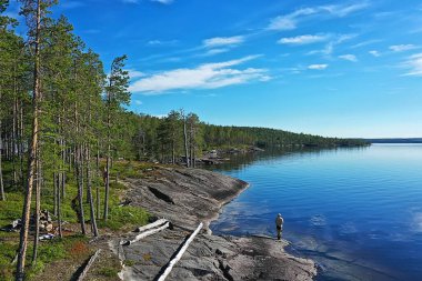 Orman gölü manzarası, manzara doğa manzarası ormanı, arka plan