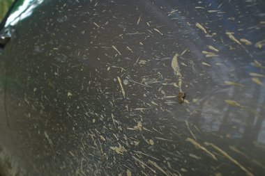 Araba doğası, soyut SUV, yaz arkaplanı.