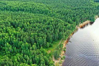 Yaz ormanı üstü insansız hava aracı, arka plan yeşil ağaçlar manzara manzarası