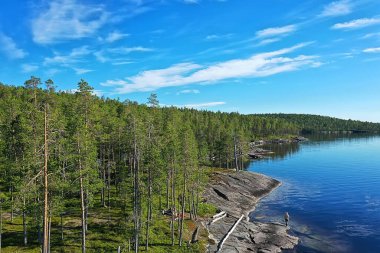 Orman gölü manzarası, manzara doğa manzarası ormanı, arka plan