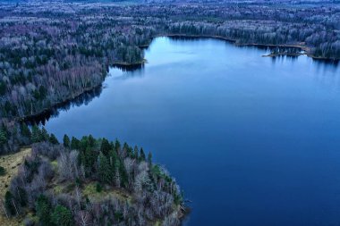 Drone Ormanı 'ndan nehir sonbahar manzarası, manzara manzarası...