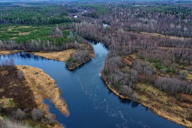 Drone Ormanı 'ndan nehir sonbahar manzarası, manzara manzarası...