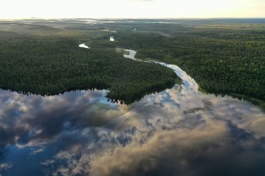 Drone Ormanı 'ndan nehir sonbahar manzarası, manzara manzarası...