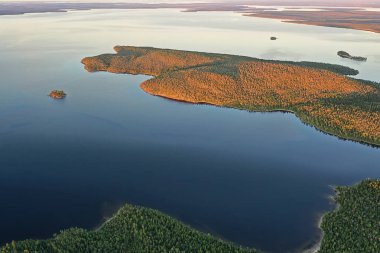 Orman gölü manzarası, manzara doğa manzarası ormanı, arka plan