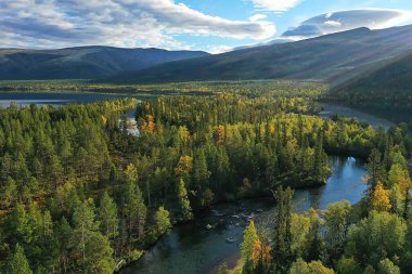 Drone Ormanı 'ndan nehir sonbahar manzarası, manzara manzarası...