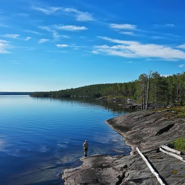 Orman gölü manzarası, manzara doğa manzarası ormanı, arka plan