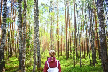 Bahar ormanı kadın rüzgarlık yürüyüş, bahar dinlenme doğa arka plan kadın turist