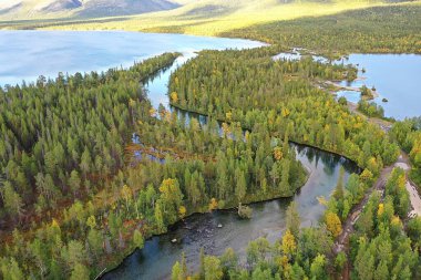 Drone Ormanı 'ndan nehir sonbahar manzarası, manzara manzarası...