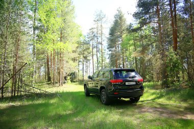 Araba doğası, soyut SUV, yaz arkaplanı.