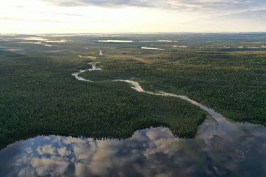 Drone Ormanı 'ndan nehir sonbahar manzarası, manzara manzarası...