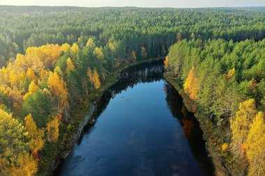 Drone Ormanı 'ndan nehir sonbahar manzarası, manzara manzarası...