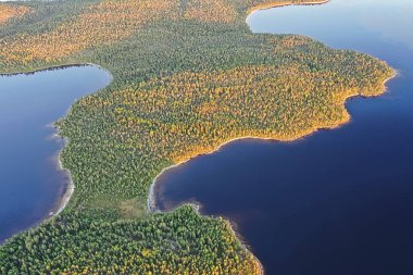 Orman gölü manzarası, manzara doğa manzarası ormanı, arka plan