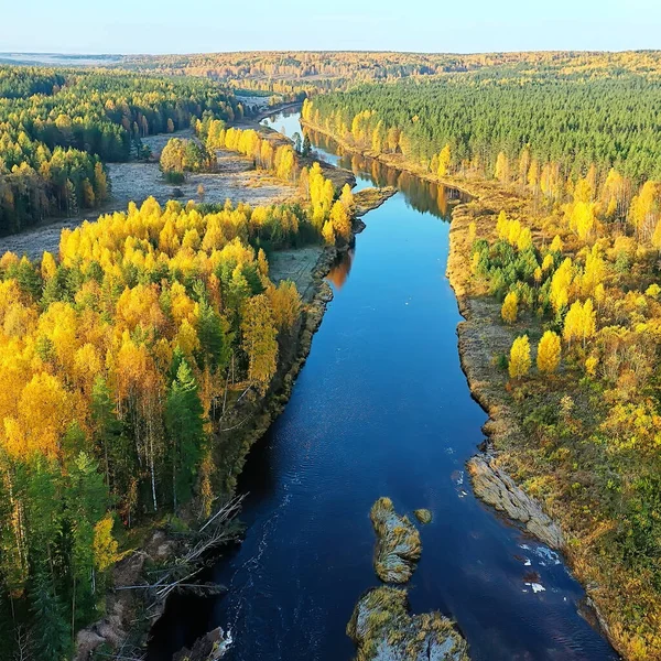 Pohled Řeku Podzim Bezpilotního Lesa Krajina Panorama Letecký Pohled — Stock fotografie