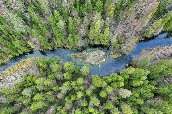 River Autumn View Drone Forest Landscape Panorama Aerial View — Stock Photo, Image