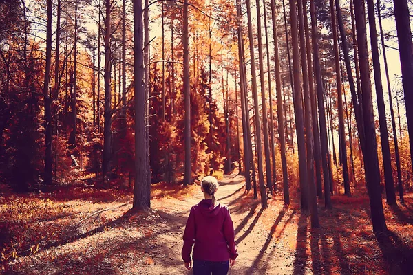女性のスポーツスタイル秋の森黄色の公園の葉の秋の太陽の下でフィットネス観光 — ストック写真