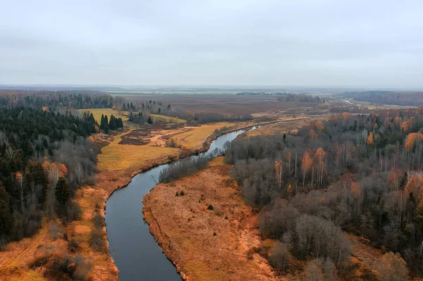 Podzimní Lesní Taiga Pohled Dronu Žluté Stromy Krajina Příroda Podzim — Stock fotografie