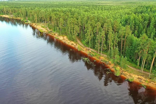 summer forest top view drone, background green trees panorama landscape