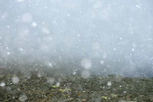 Ventisca Invierno Rocas Invierno Nieve Frío Paisaje — Foto de Stock