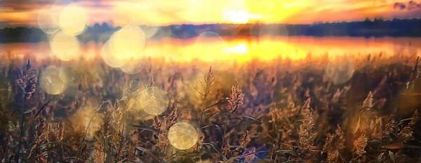 Verano Puesta Del Sol Lago Naturaleza Hermoso Cielo — Foto de Stock