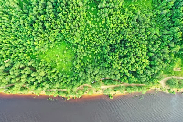 Summer Forest Top View Drone Background Green Trees Panorama Landscape — Stock Photo, Image