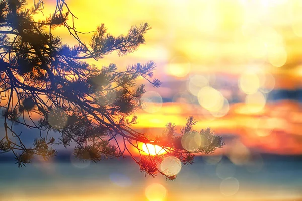 Zomer Zonsondergang Meer Natuur Prachtige Hemel — Stockfoto