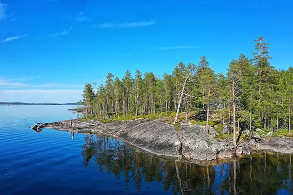 Bos Uitzicht Het Meer Landschap Uitzicht Natuur Bos Achtergrond — Stockfoto