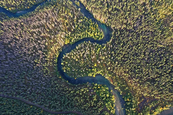 从无人森林看秋天的河流风景 从空中看全景 — 图库照片