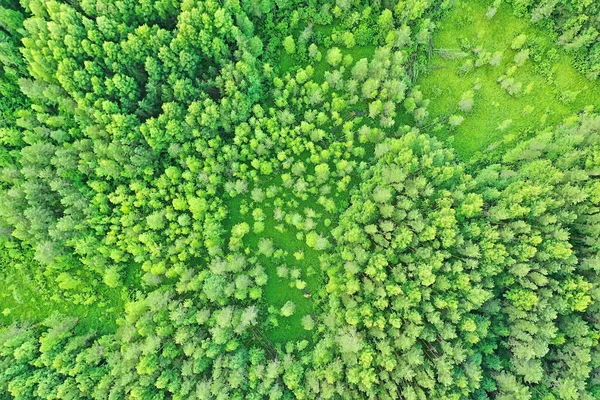 Lato Las Góra Widok Drona Tło Zielone Drzewa Panorama Krajobraz — Zdjęcie stockowe