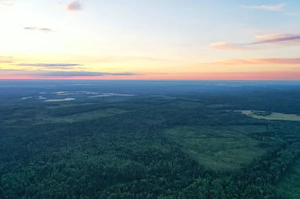 Verano Bosque Vista Superior Drone Fondo Verde Árboles Panorama Paisaje — Foto de Stock