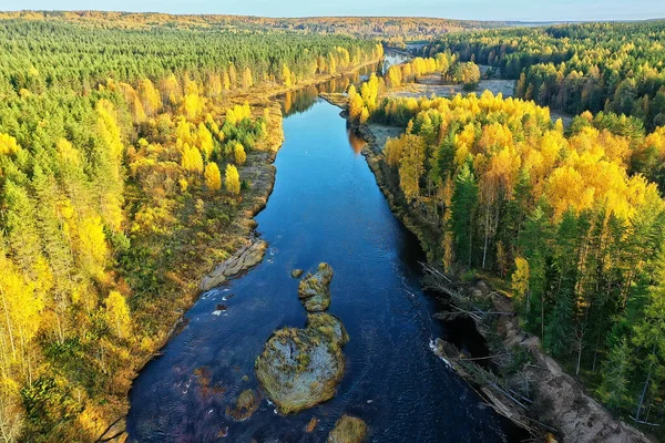 Flod Höst Utsikt Från Drönare Skog Landskap Panorama Antenn Utsikt — Stockfoto